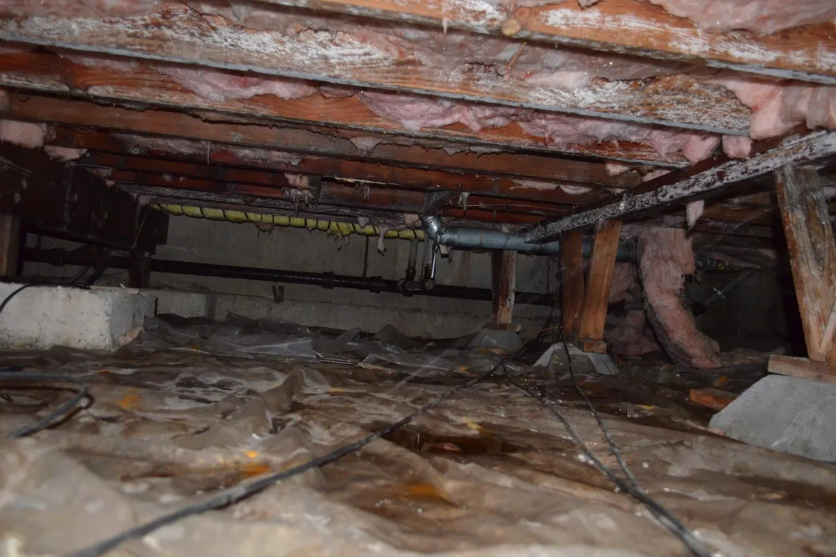 Crumpled, inadequate vapor barrier and heavy mold on floor joists in a Wake County NC crawl space