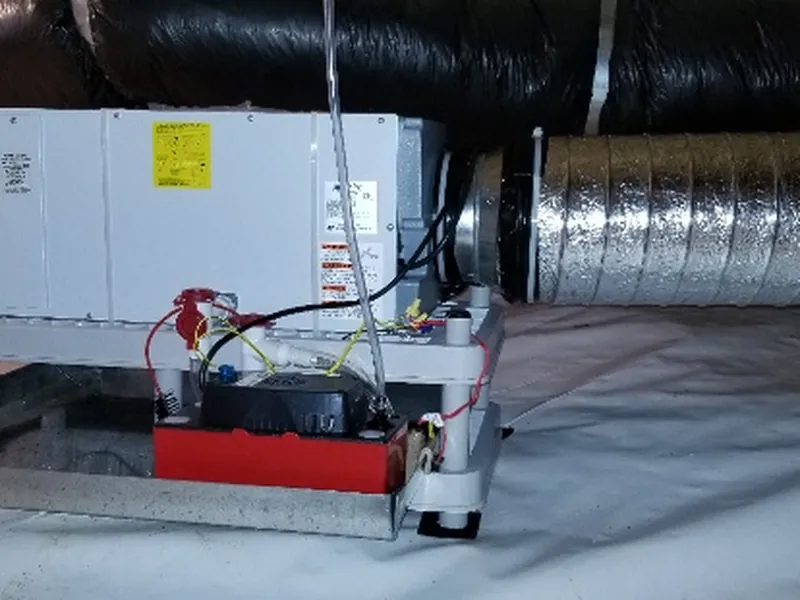 Clean encapsulated crawl space with vapor barrier in Wake County NC home